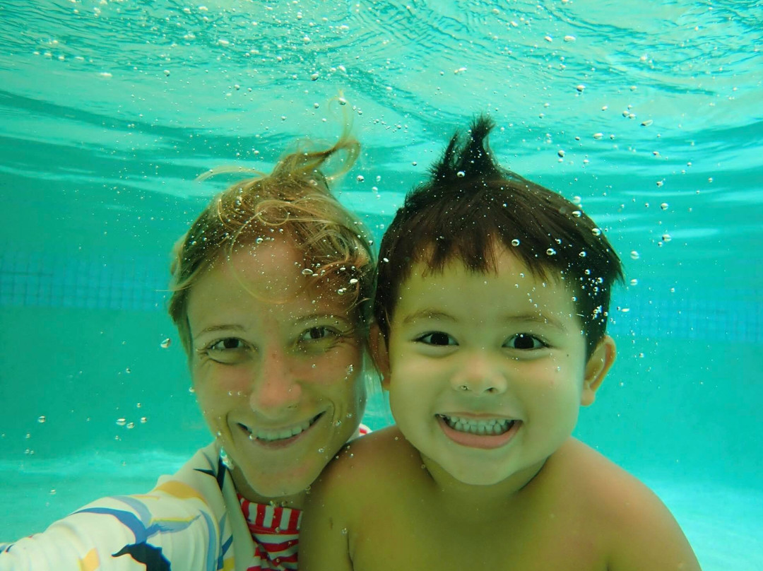 Airlie Beach Dive Centre-艾尔利滩必去景点