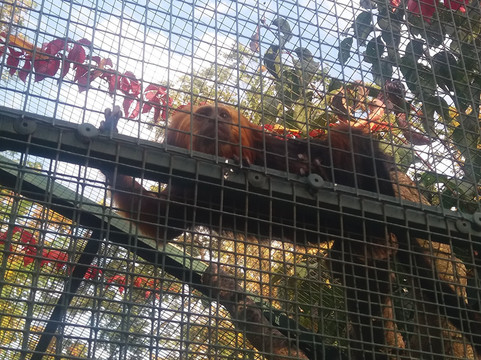 Tierpark-威滕伯格必去景点