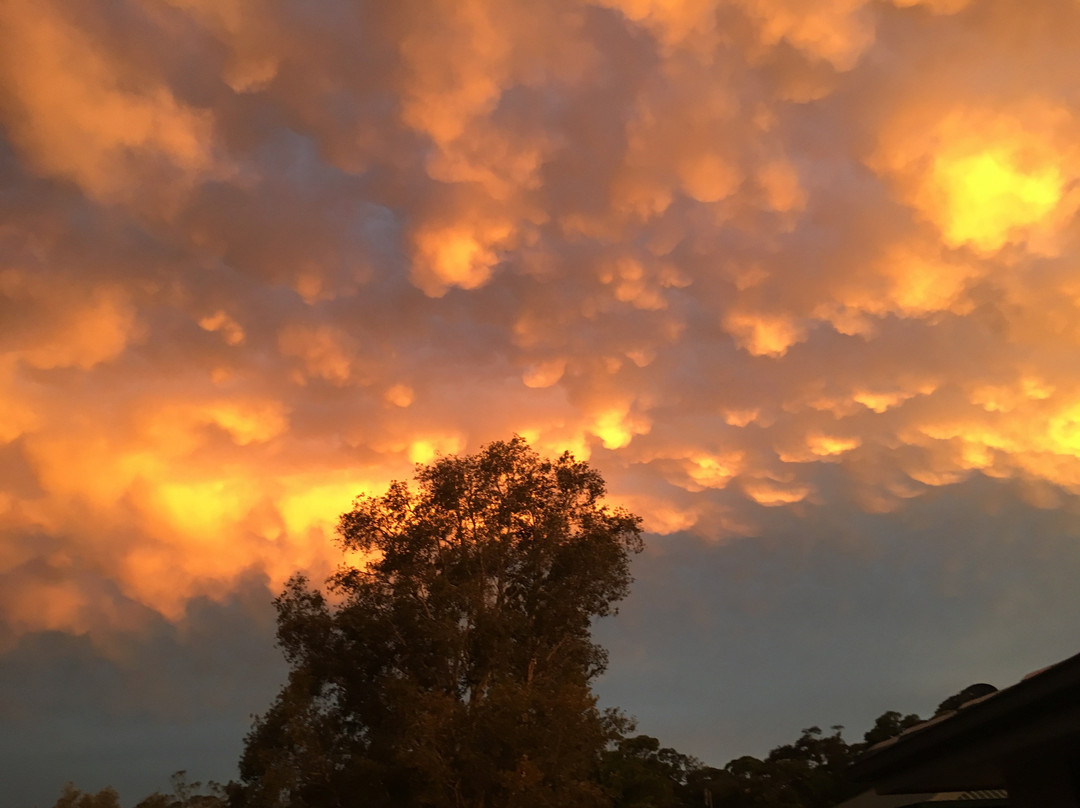 Narrawallee Beach-Narrawallee必去景点