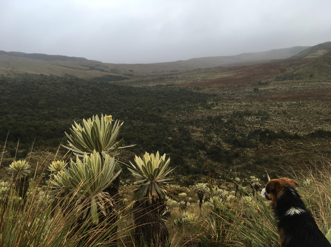 Volcan Cumbal-Cumbal必去景点