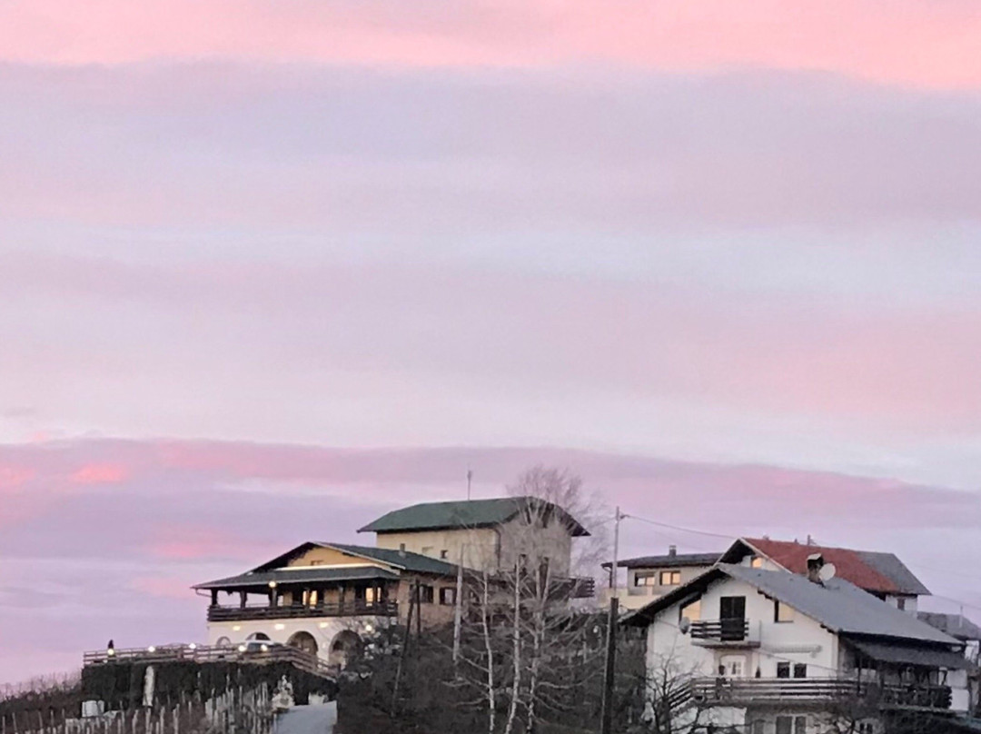 Guesthouse Pavlin主图