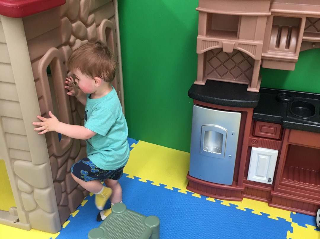 Playshed Cafe景点图片