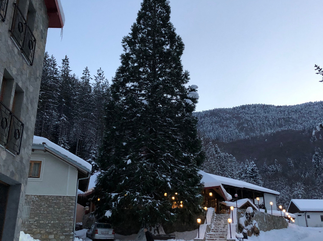 Hotel Korab Trnica主图