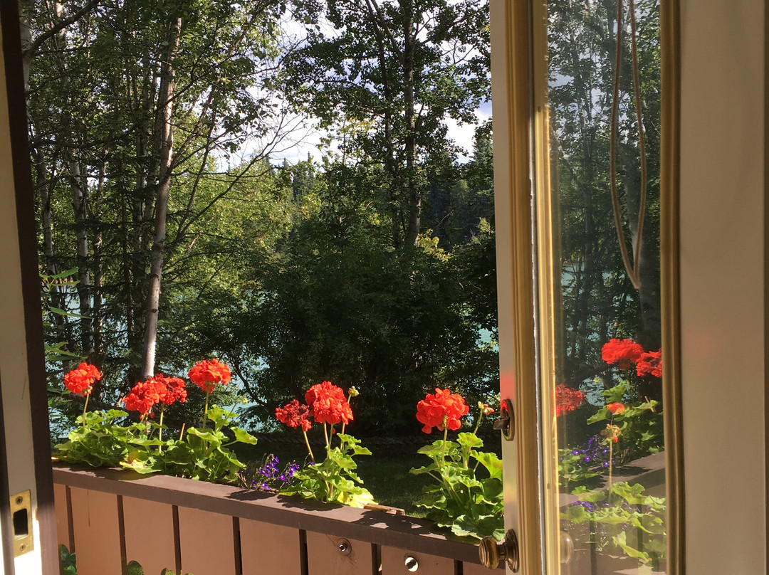 Alaska Fishing Lodge and Soldotna B&B Charters主图