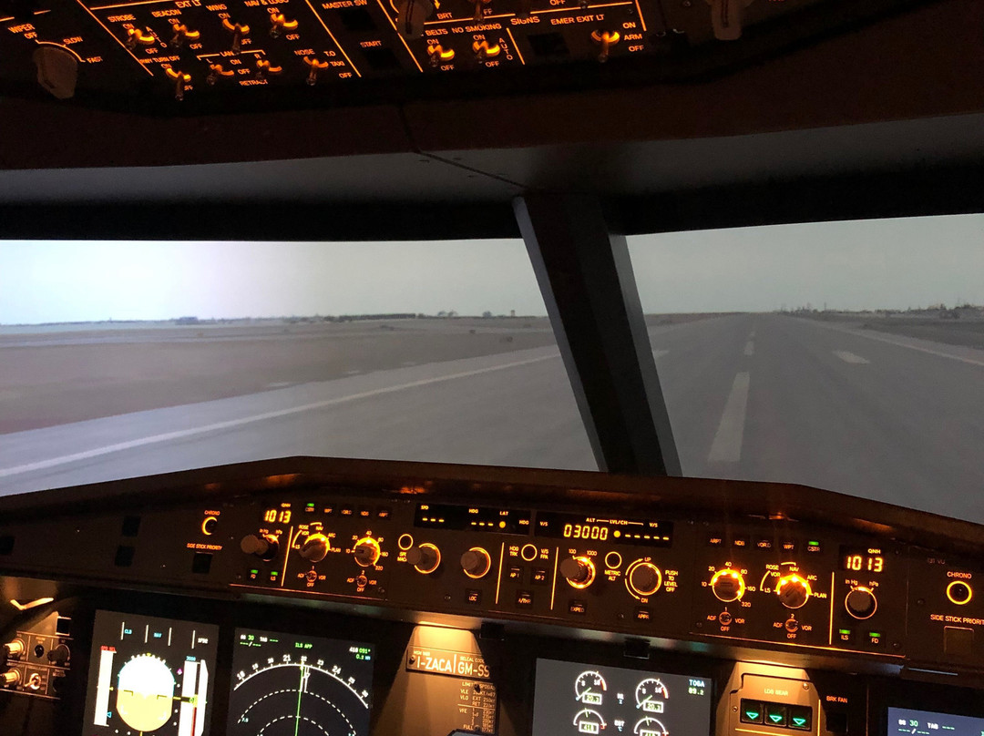 Flight Sim Cockpits景点图片