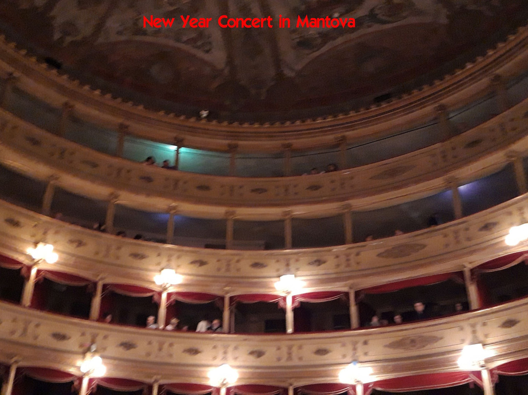 Teatro Sociale di Mantova景点图片