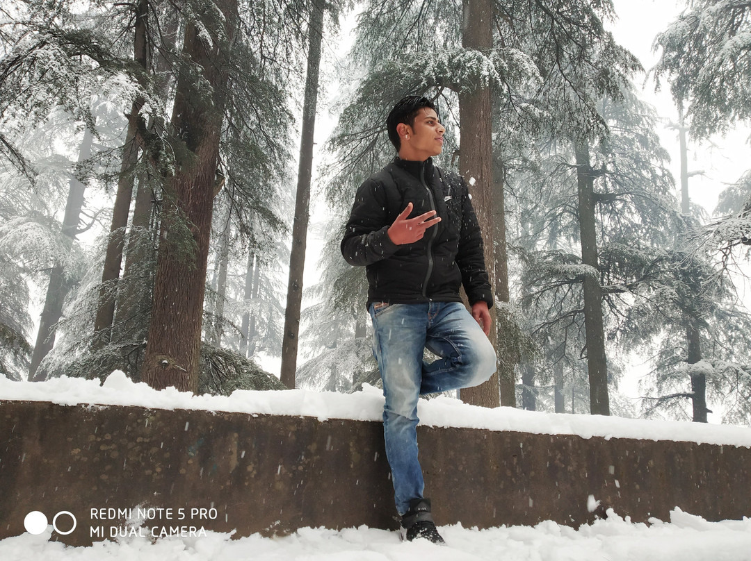 Raison Meadows Lodge主图