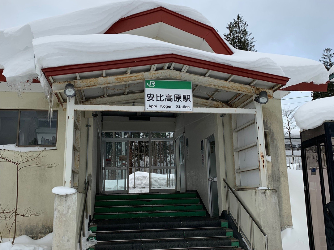Appi Kogen Ski Resort-八幡平市必去景点