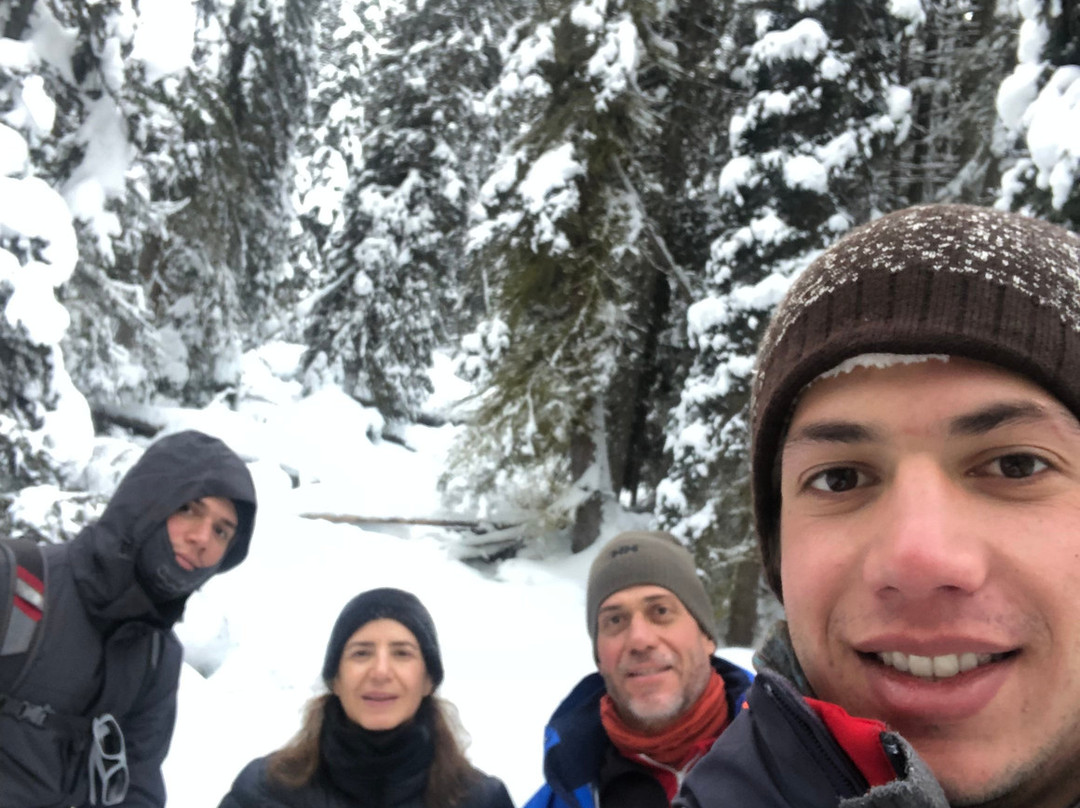 邮政spa酒店主图