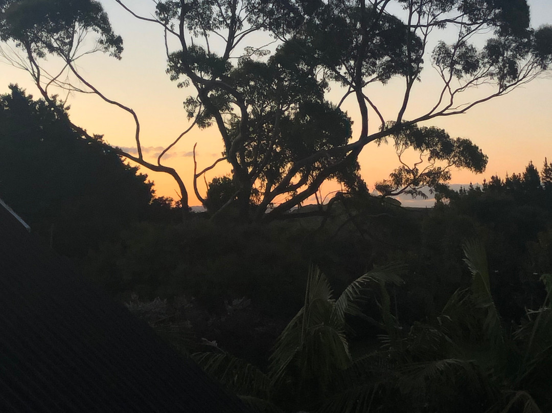 Country Homestead at Black Sheep Farm主图