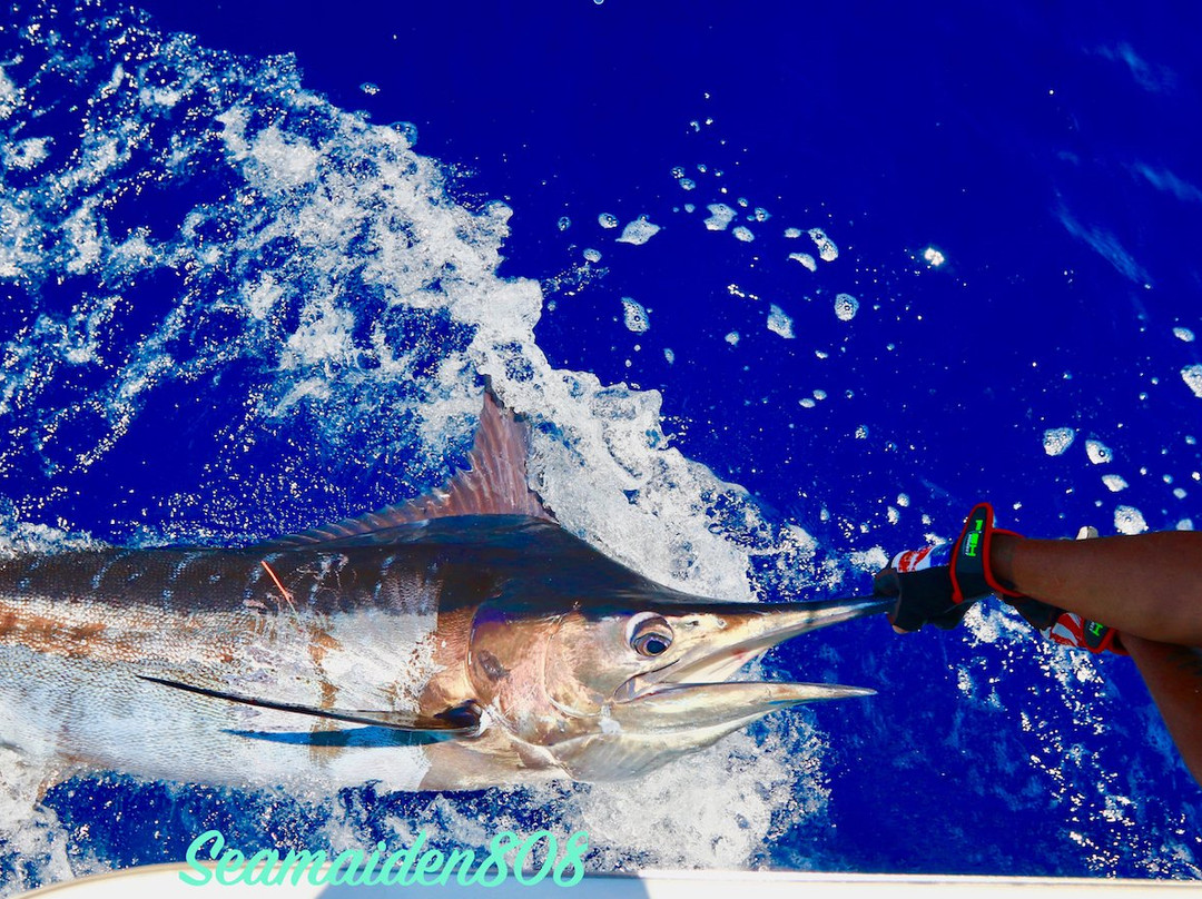 Hotshot Charters-Runaway Bay必去景点