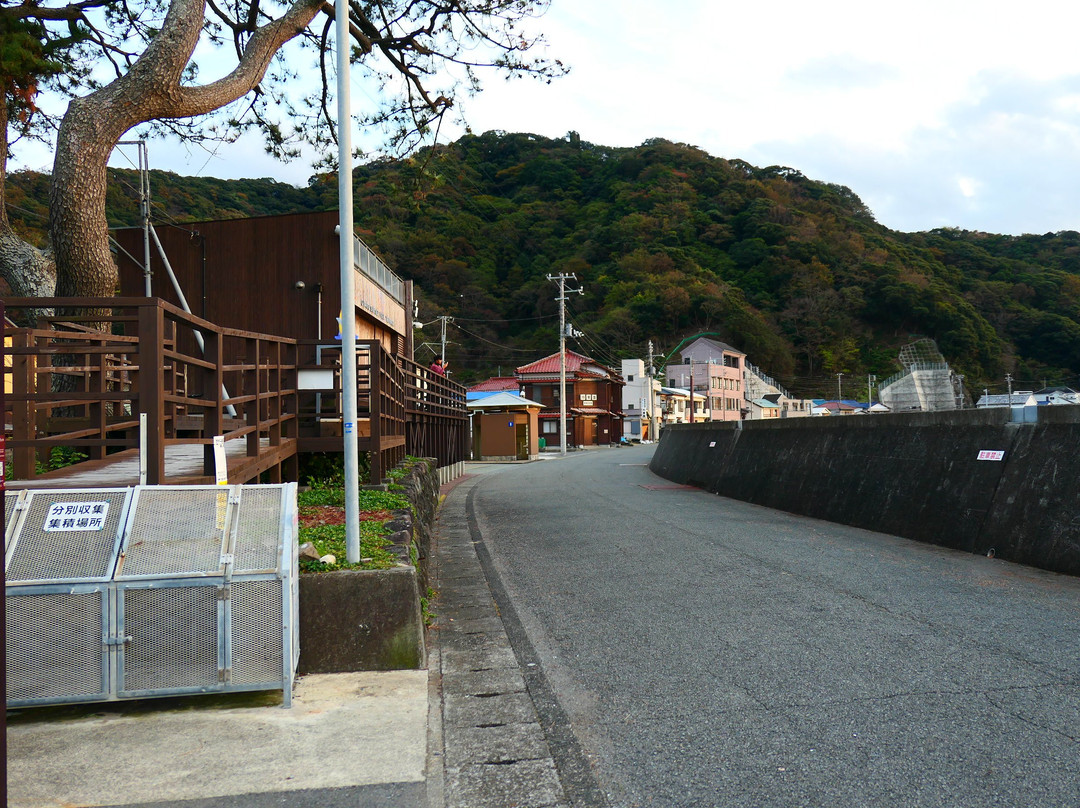 Otago Beach-西伊豆町必去景点