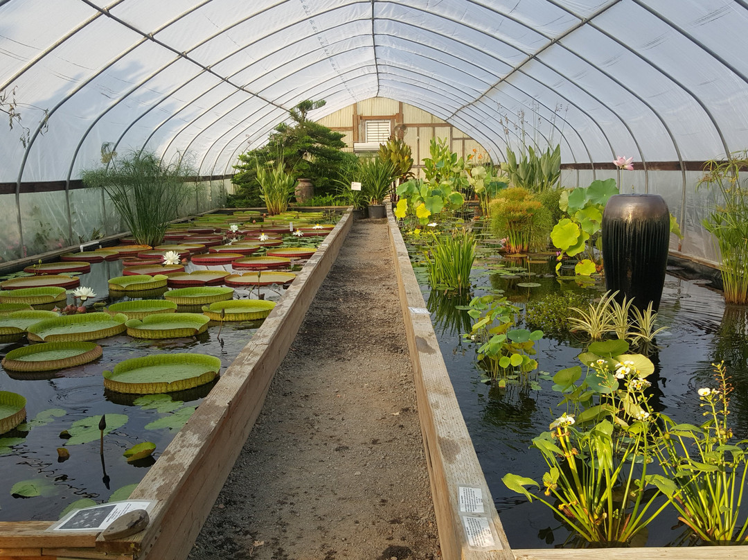 Hughes Water Gardens-图拉丁必去景点