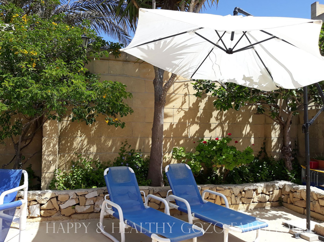 Happy and Healthy Gozo BnB主图