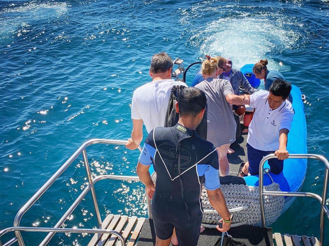 GreenGo Travel-基多必去景点