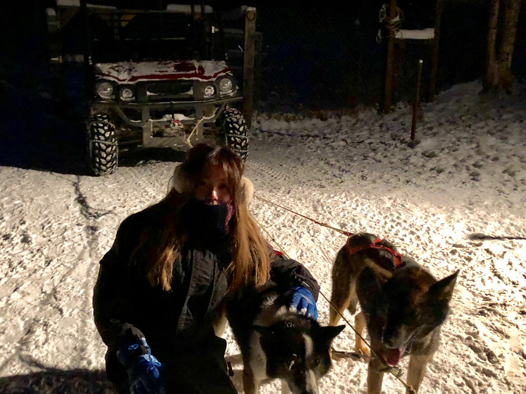 Frisky Pups Bed & Breakfast and Sled Dog Tours-费尔班克斯必去景点