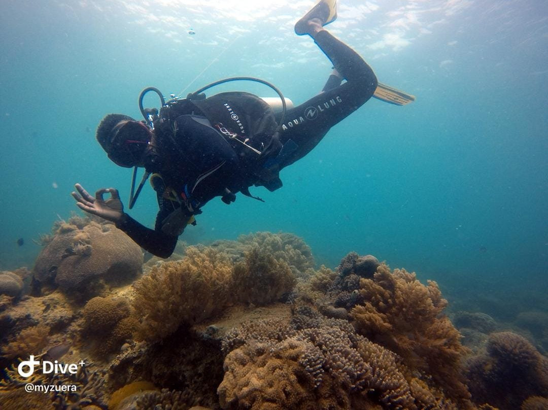 Dreams Diving Center景点图片