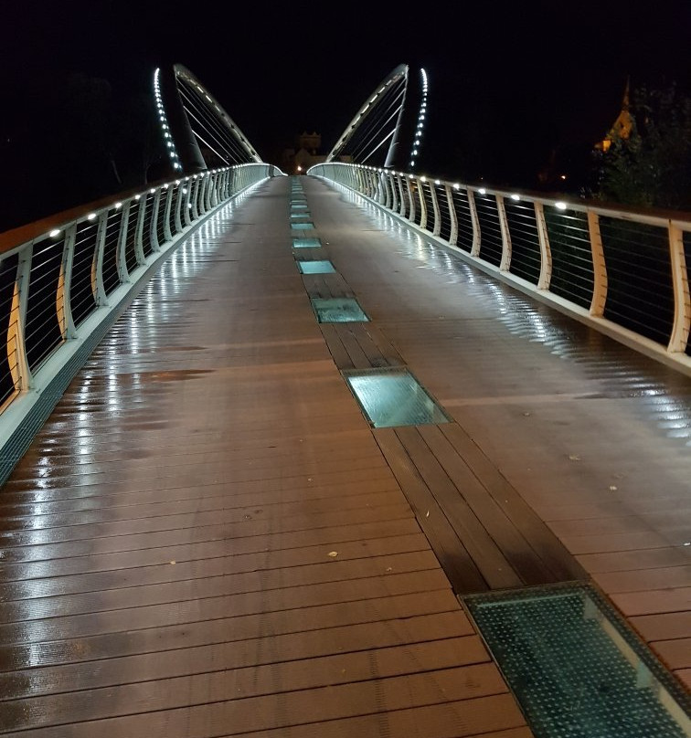 Tiszavirág Pedestrian Bridge-Szolnok必去景点