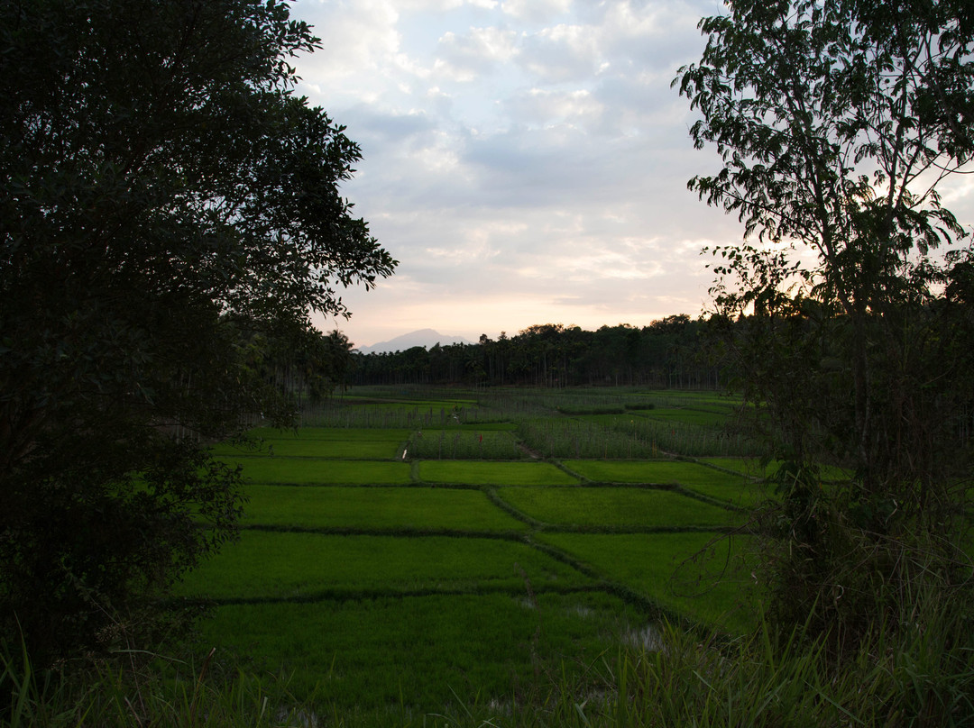 Panamaram旅游攻略图片