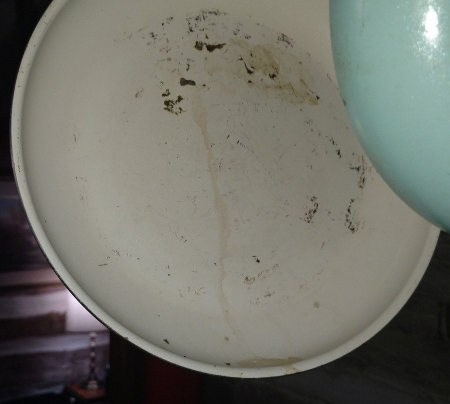 Olde Squat Inn Bed and Breakfast主图