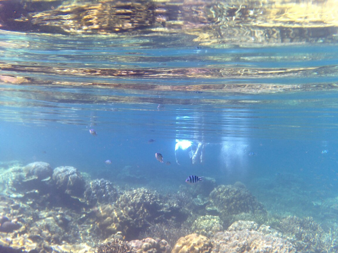 Small Lagoon Reef景点图片