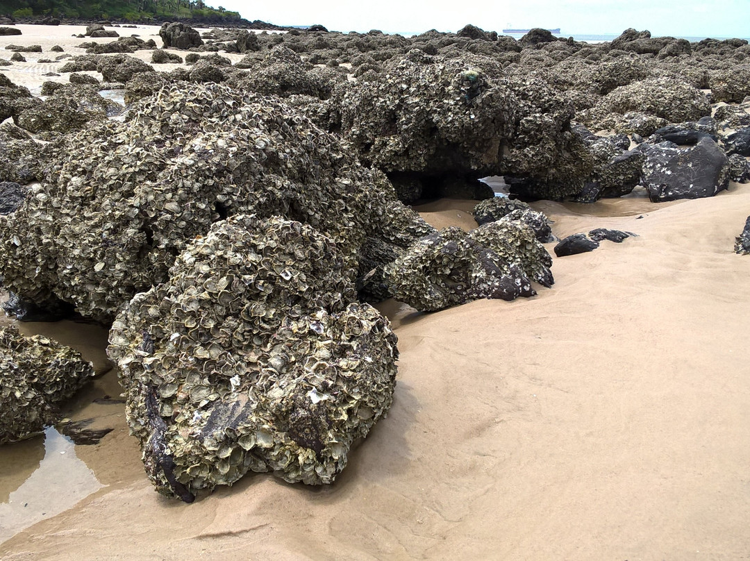 Baronesa Beach (Lagoa)景点图片