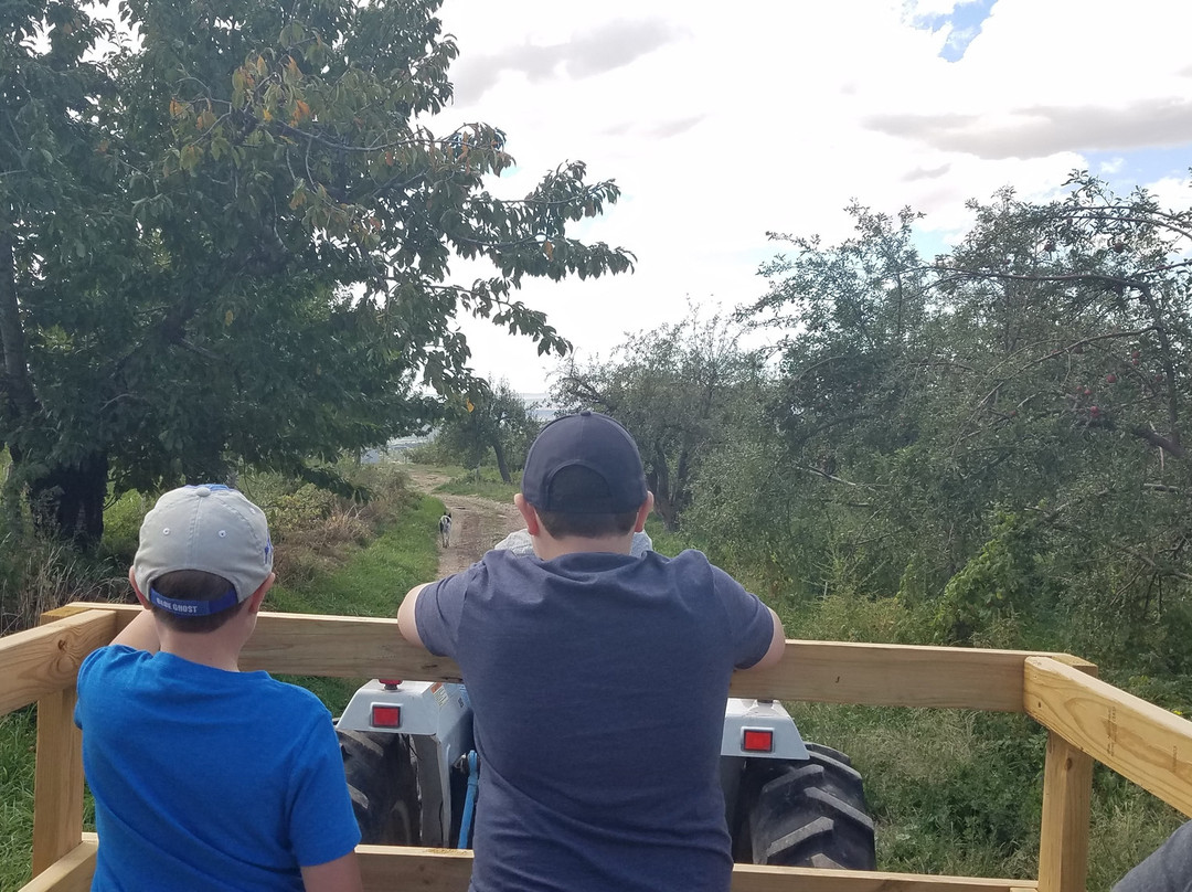 Nichols Ranch and Orchards-Cloudcroft必去景点