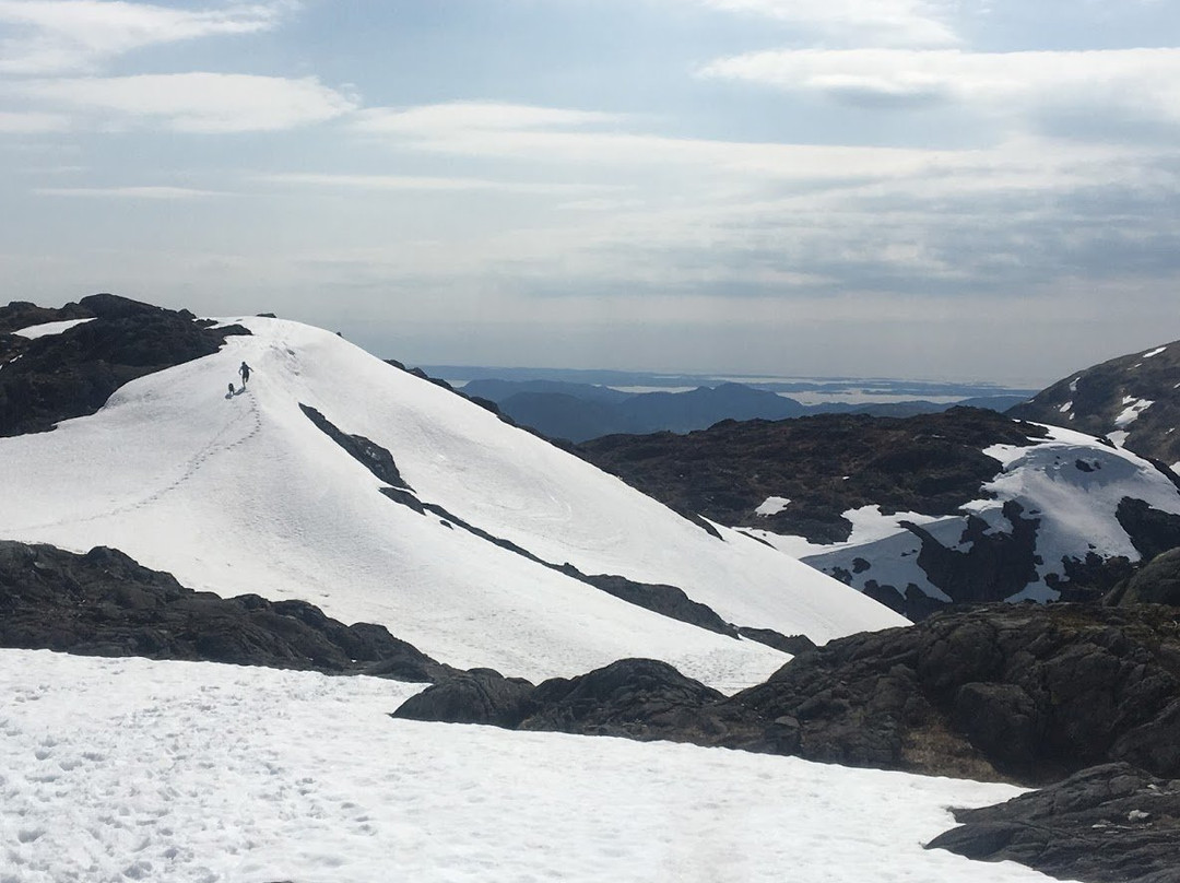 Hiking Bergen景点图片