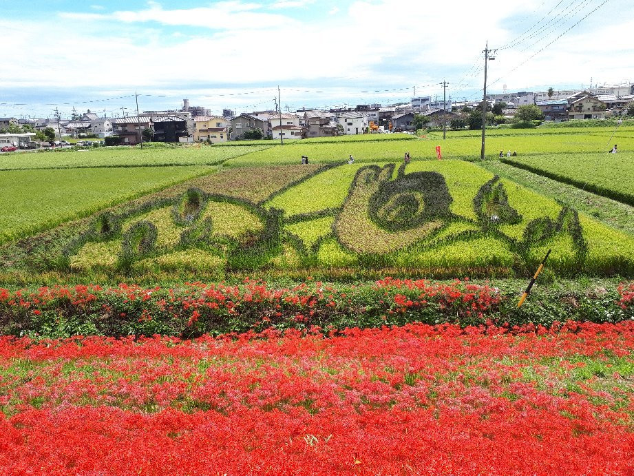 Niimi Nankichi Memorial Museum-半田市必去景点