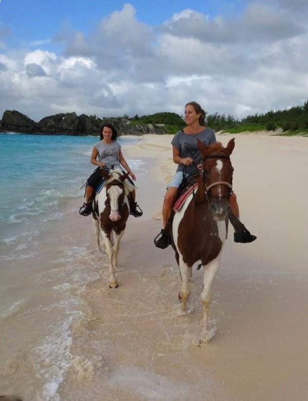 Bermuda's Best Horse Trail Rides and Horses-Warwick Parish必去景点