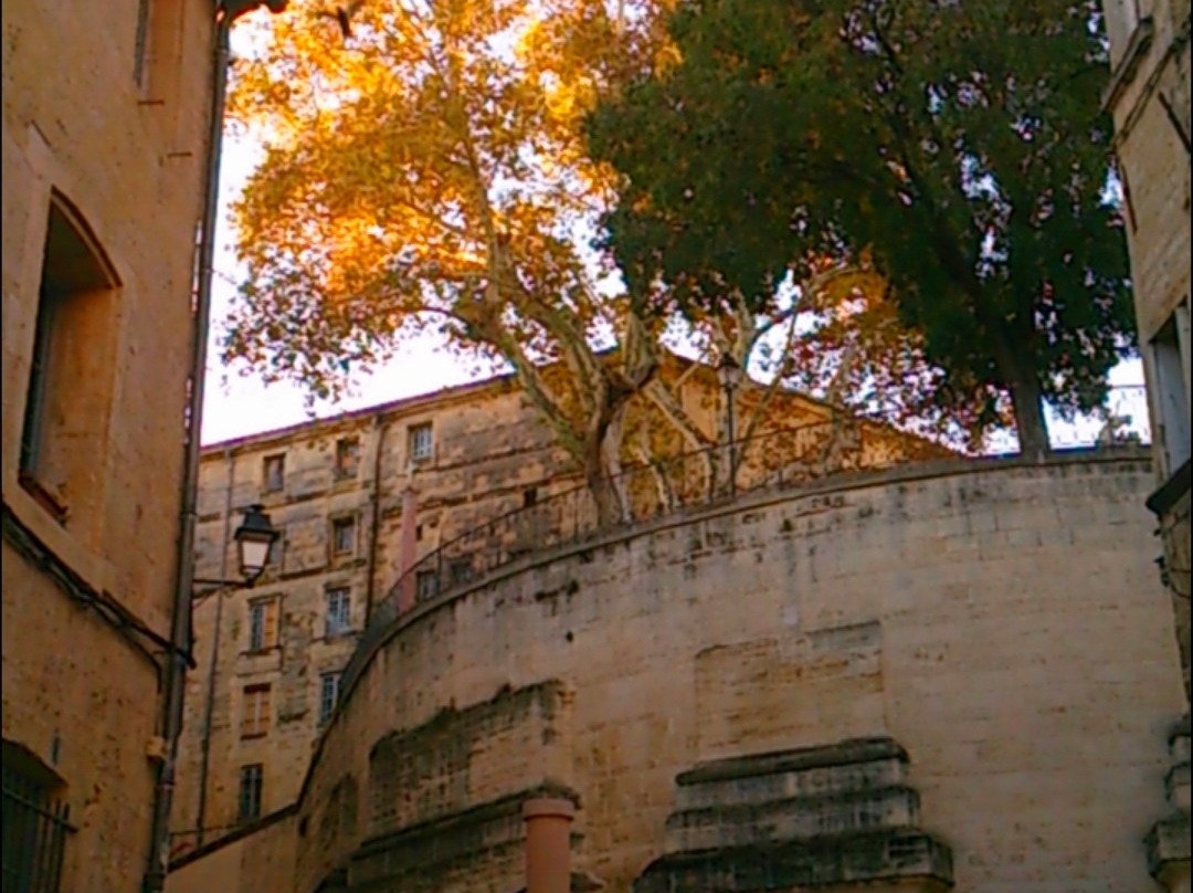 Place de la Canourgue-蒙彼利埃必去景点