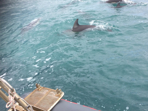 Kraken Tours-Port Welshpool必去景点