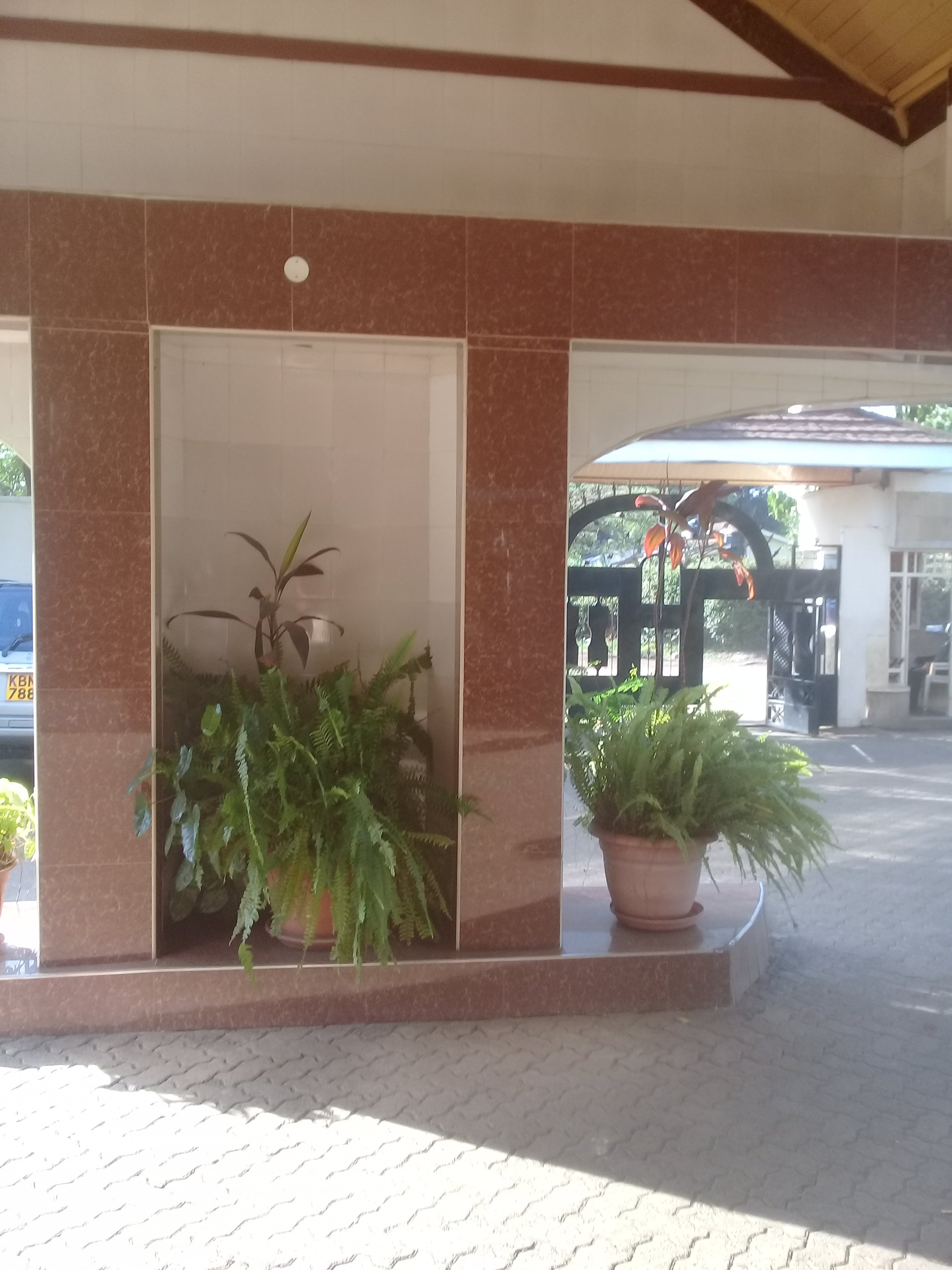 Royal City Hotel - Garden-官方