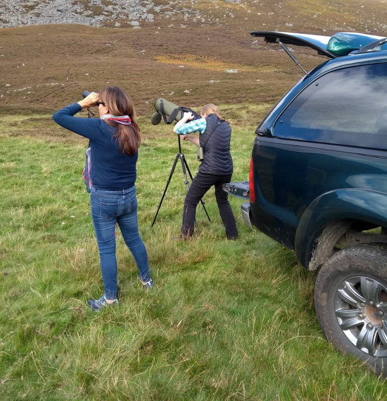 Glen Esk Wild Life Tours景点图片