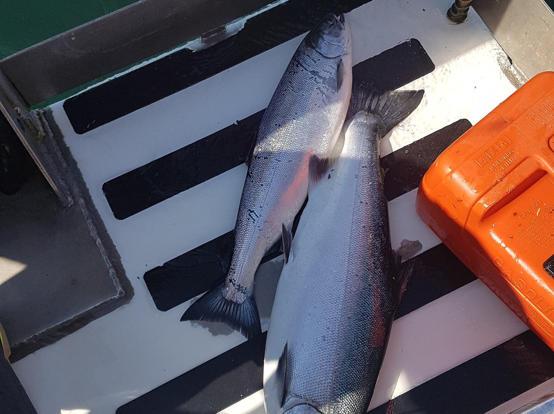 Sea West Fishing Charters景点图片