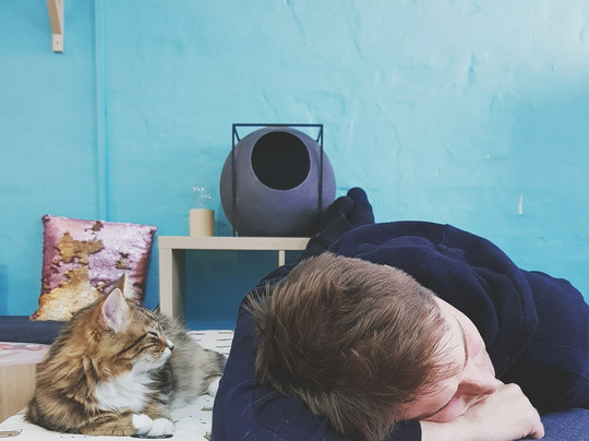 Catmosphere Cat Cafe-Surry Hills必去景点