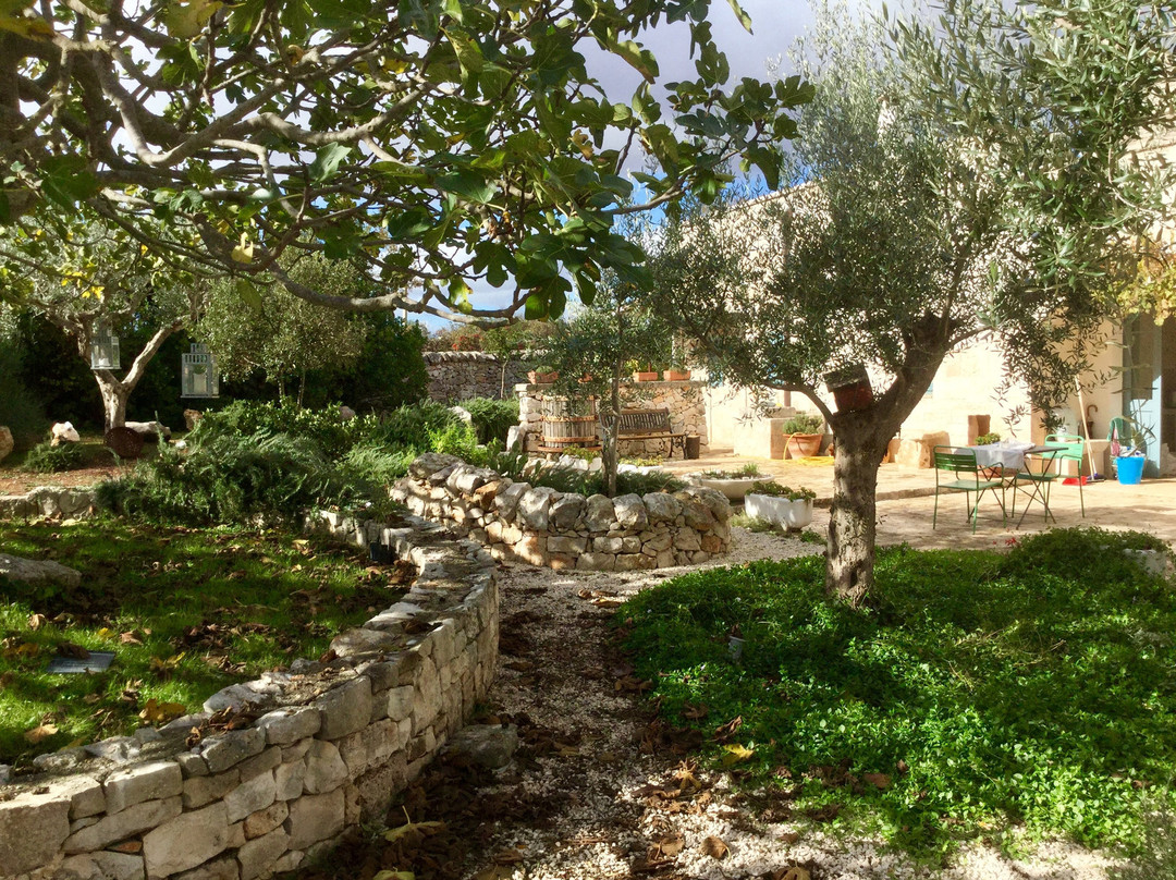 Trulli Gallo Rosso主图