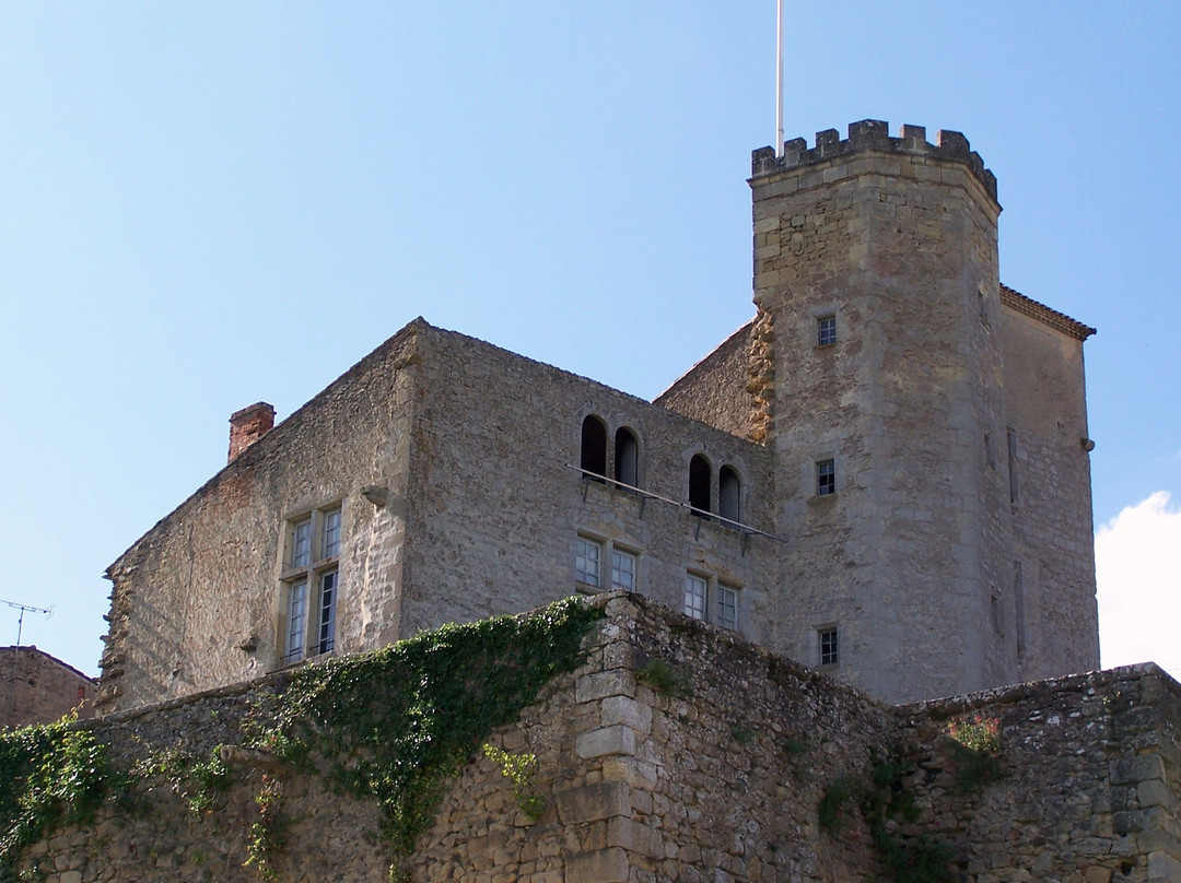 Château de Tardes景点图片