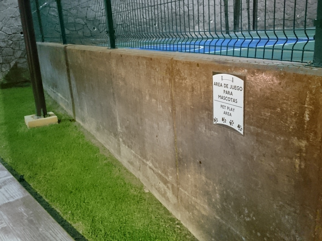 Staybridge Suites Chihuahua By IHG主图