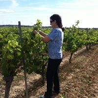 Domaine Saint Georges Les Cardinelles-Nissan-lez-Enserune必去景点