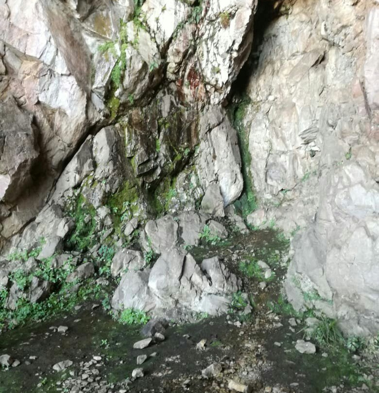 Rustig-Magaliesburg必去景点