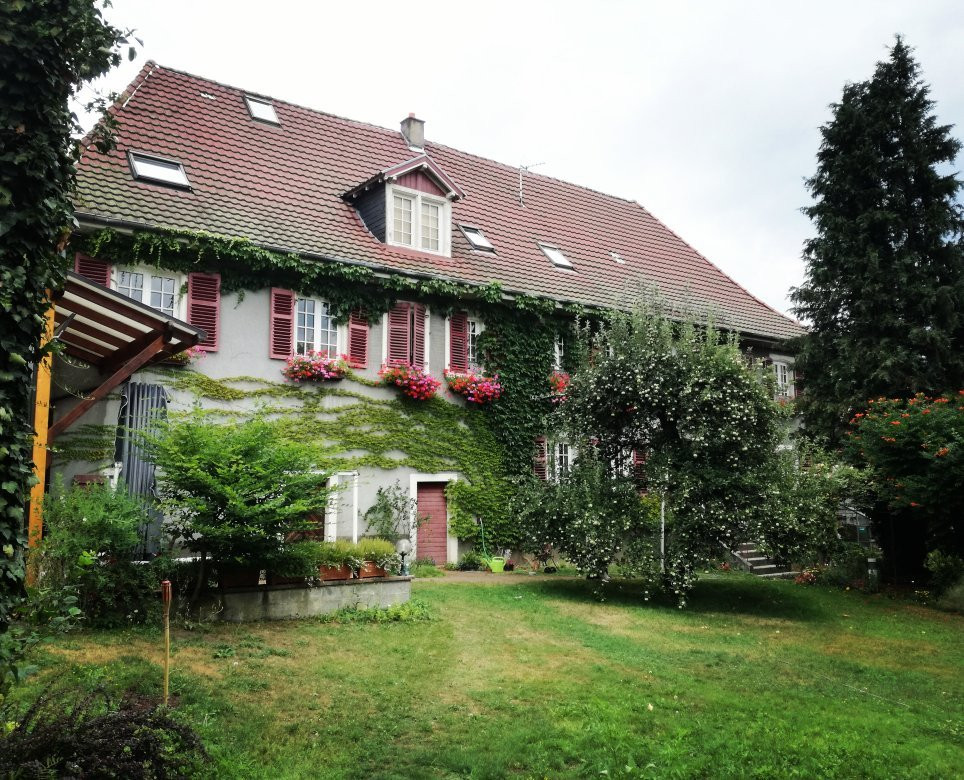 Aux 5 couleurs主图