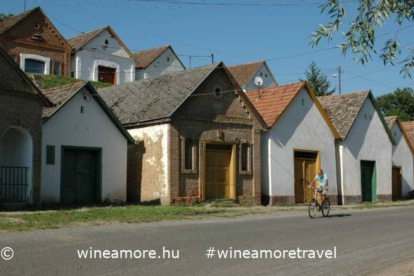 Wine a'More Travel景点图片