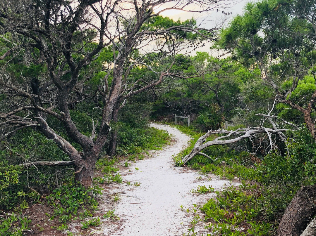 2025年1月Henderson Beach State Park景点攻略-Henderson Beach State Park门票预订|地址 ...
