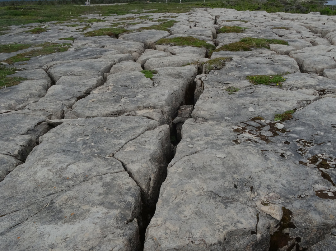 White Rock Walking Trail景点图片