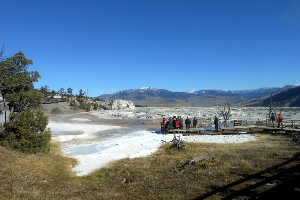 Terrace Mountain-黄石国家公园必去景点