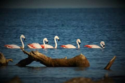 Museo Fotografico Miramar-Miramar必去景点