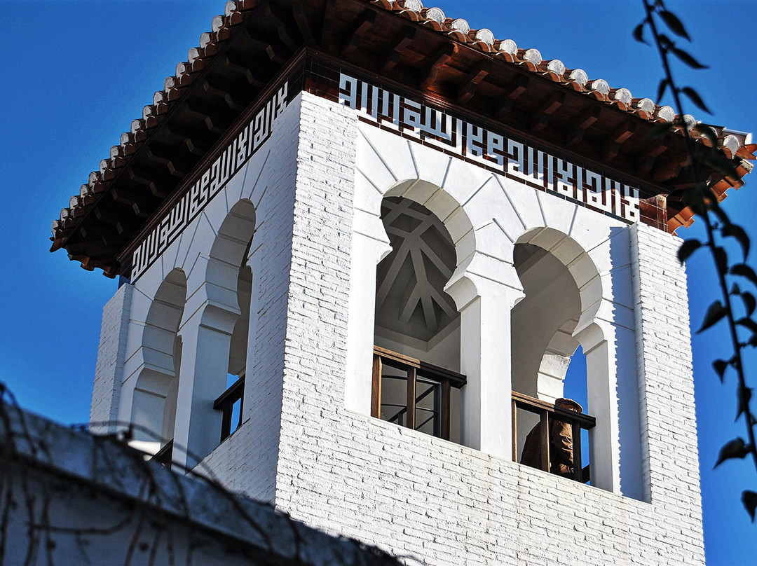 Lolita's Tours-格拉纳达必去景点