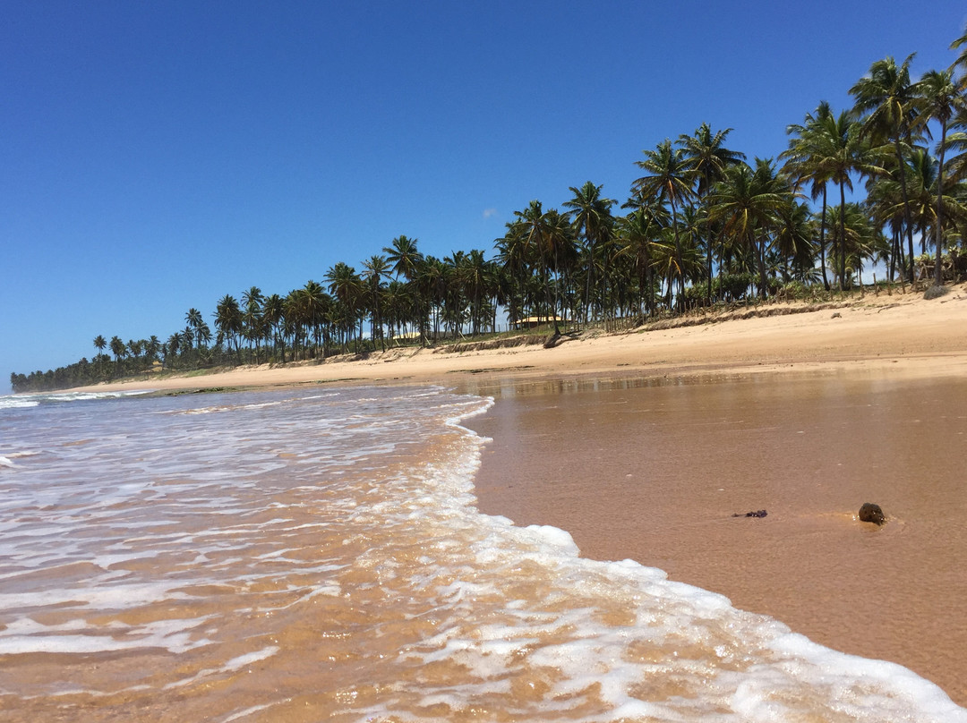 MM Brasil Private Tours-Camacari必去景点