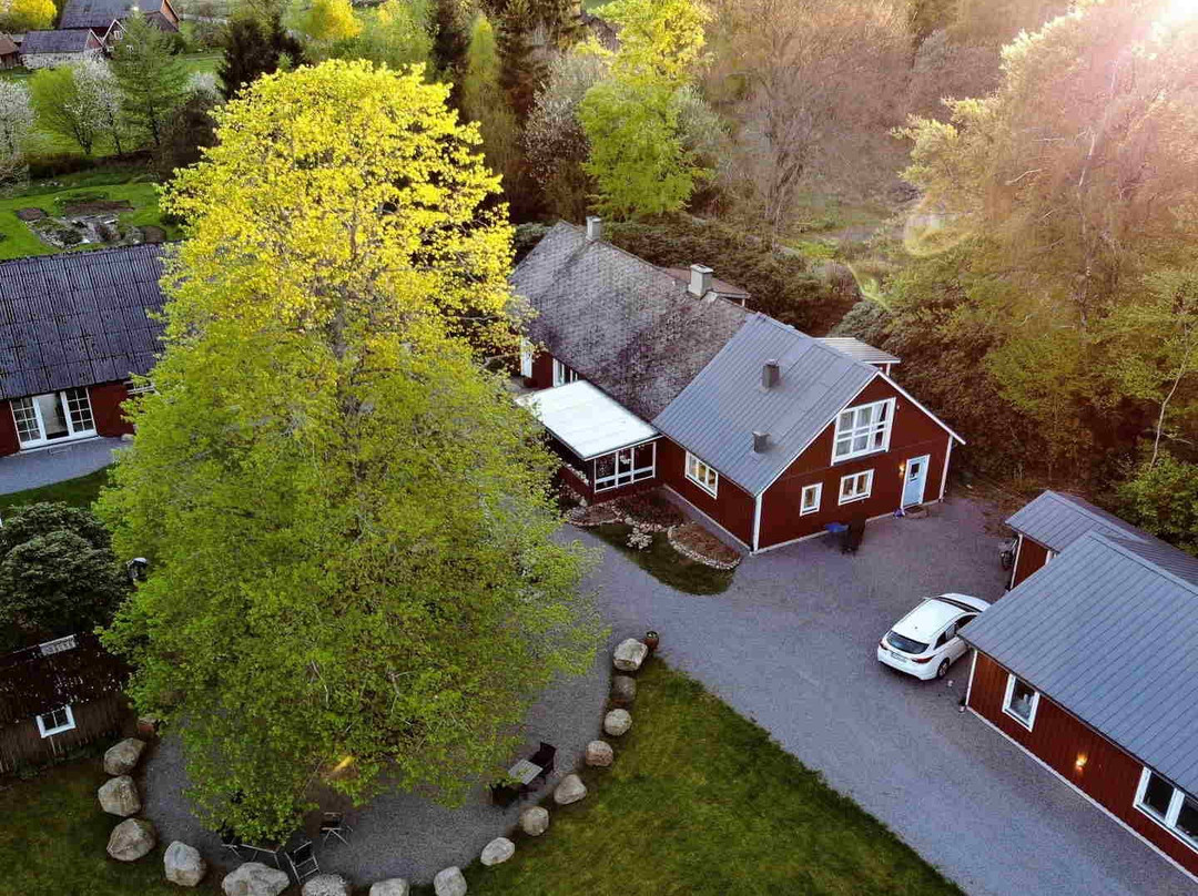 Under Linden